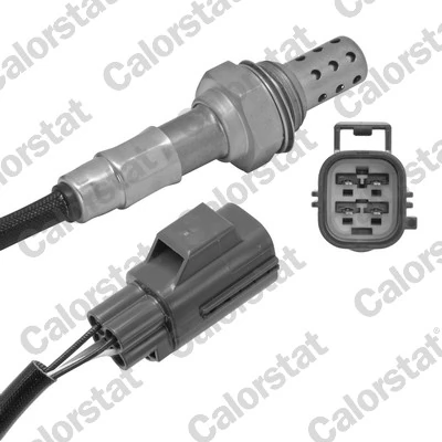 Oxygen Sensor